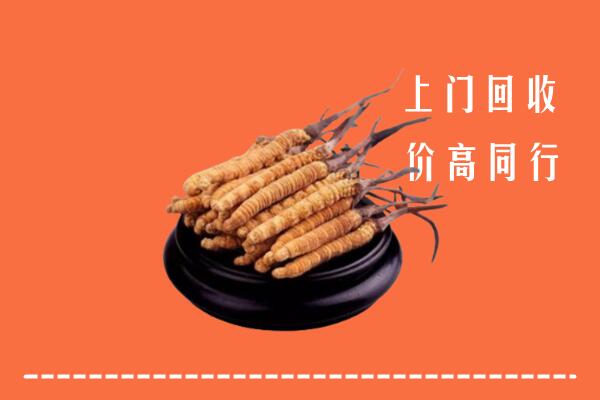 高价求购：重庆市奉节回收散虫草