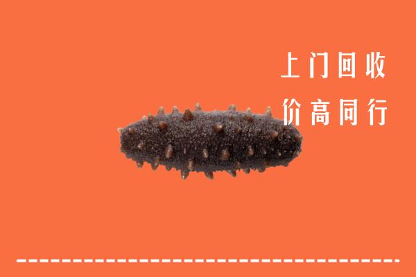 重庆市奉节回收海参