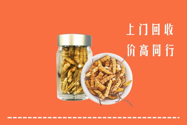重庆市奉节回收冬虫夏草